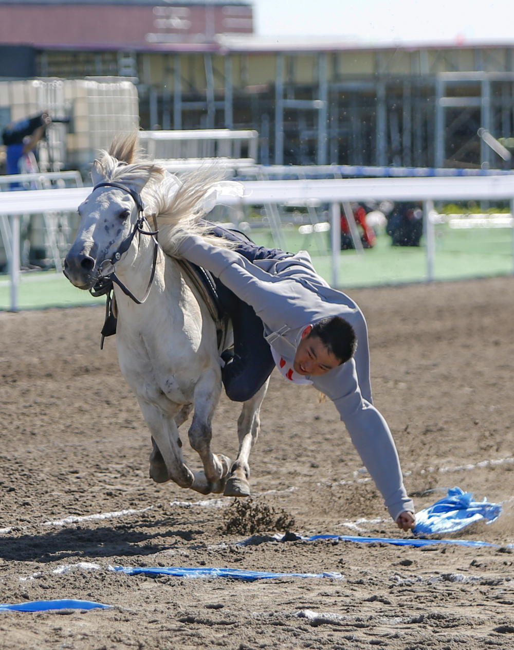 項職業運動