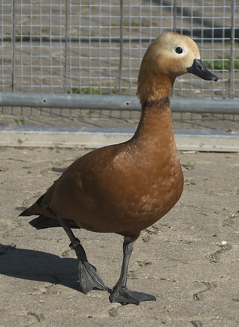 花钱未见成