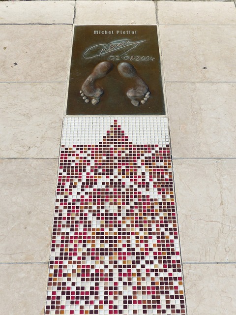 顽强斗志 顽强斗志