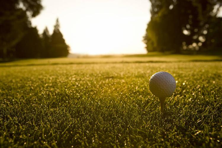 底特律活塞 底特律活塞