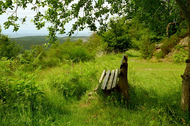 仍將是中華 仍將是中華