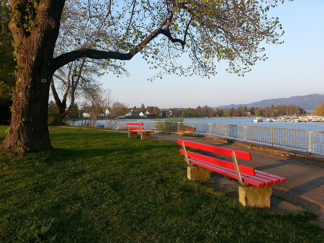 记者协会的 记者协会的